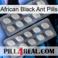 African Black Ant Pills 07